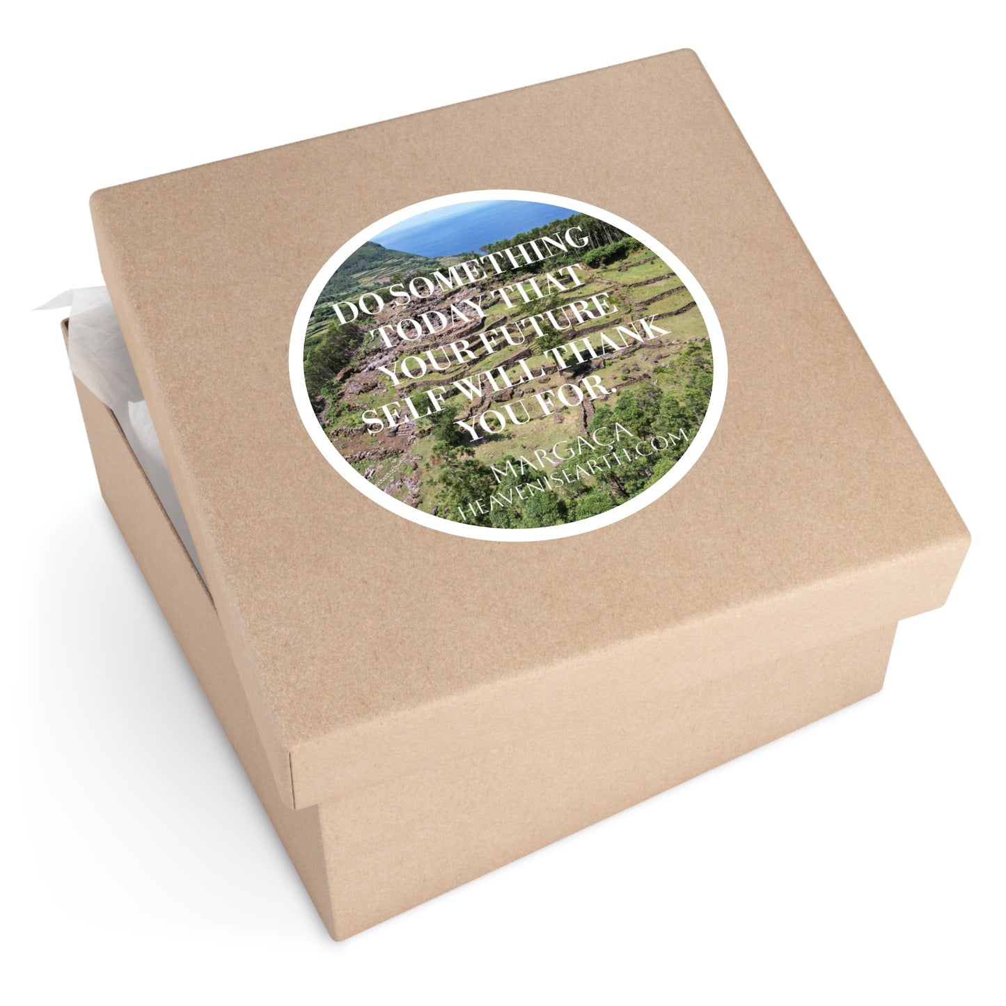 Motivational Sticker - Do Something Today That Your Future Self Will Thank You For