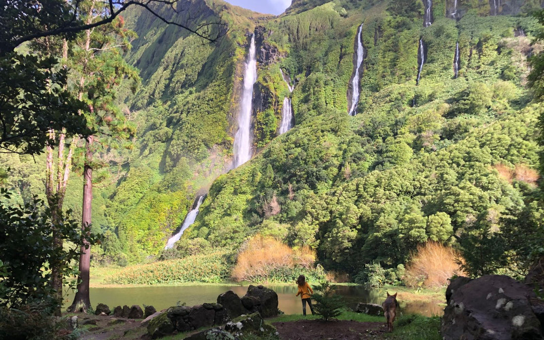 Experience Nature, Culture, and Spiritual Renewal at Margaça Waterfalls Garden